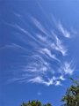 054 foto MVervoorn IMG_20190608_160214786 (2)